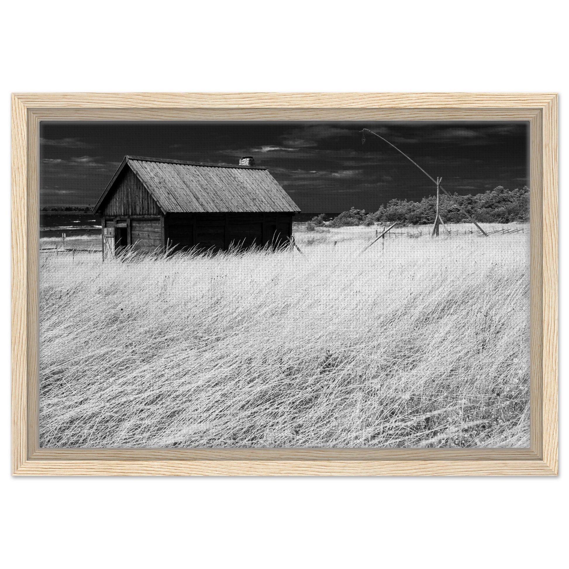 fba86be7-7957-4393-b51b-ddb02572c7b1