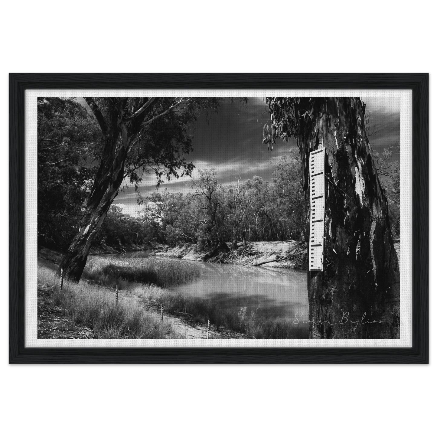 fbdc113b-d834-4400-8931-61ee26b3a02c