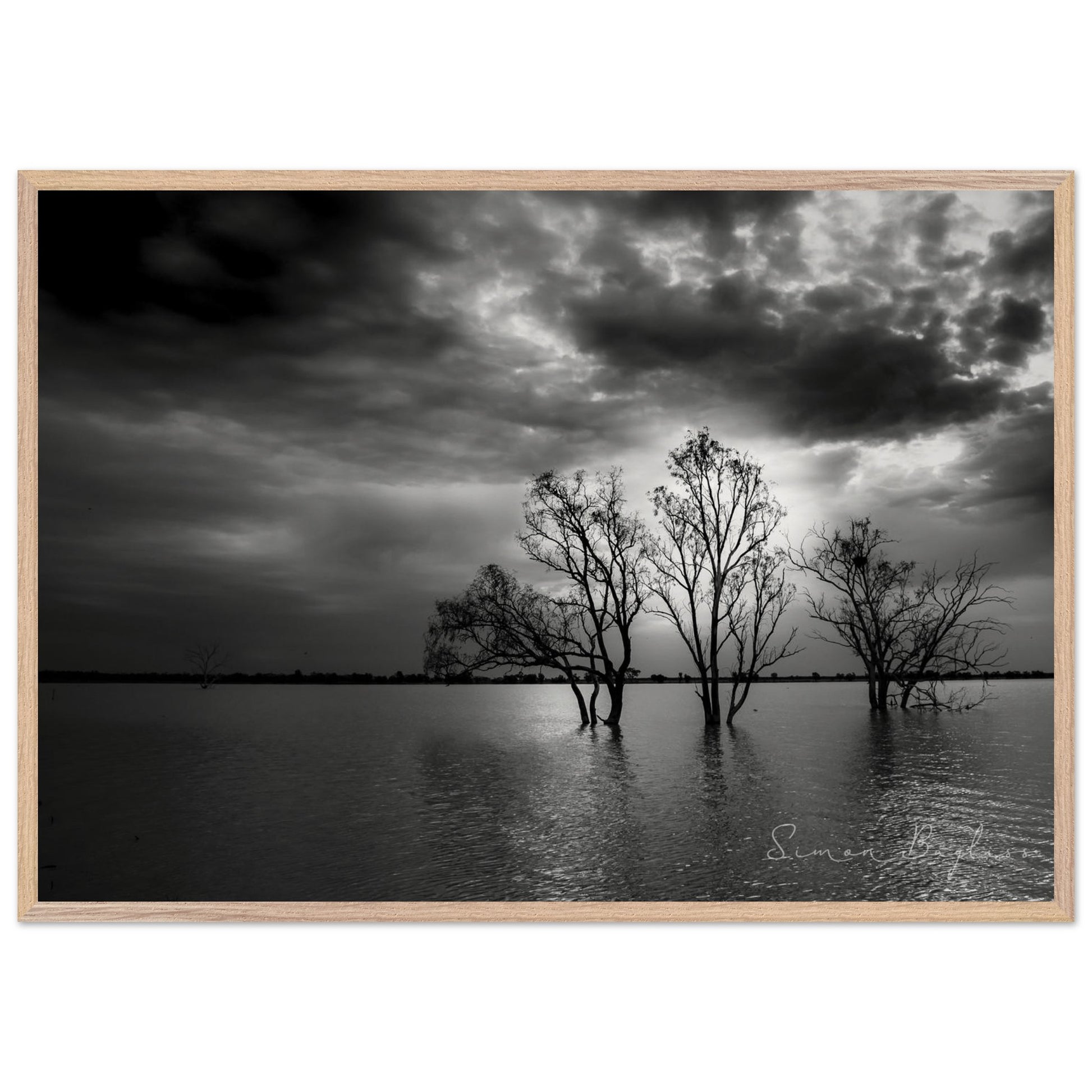 fc084d39-ccbb-46bc-837f-c25c6251bac4