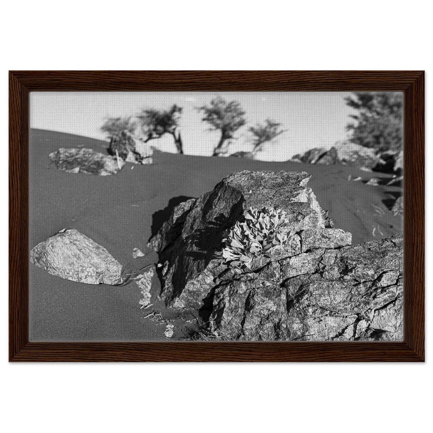 fc17dc42-bb26-4e00-a6e2-ca6449fbc94d