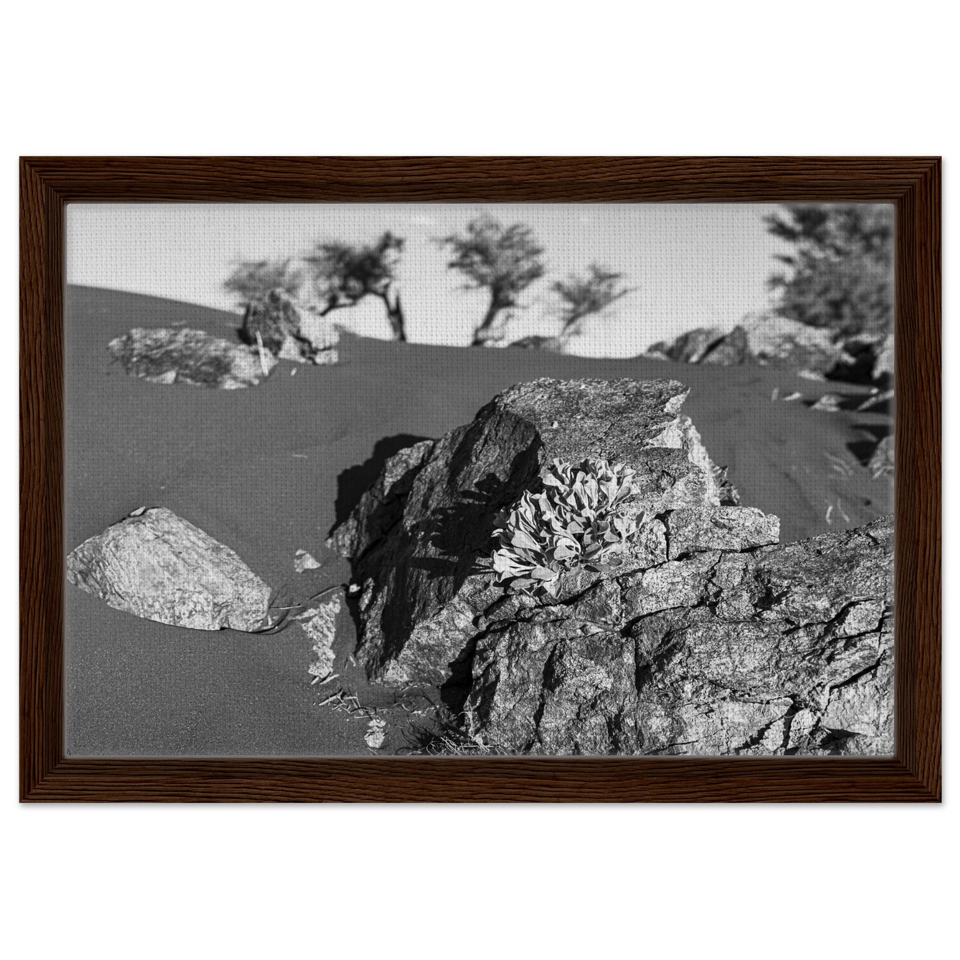 fc17dc42-bb26-4e00-a6e2-ca6449fbc94d