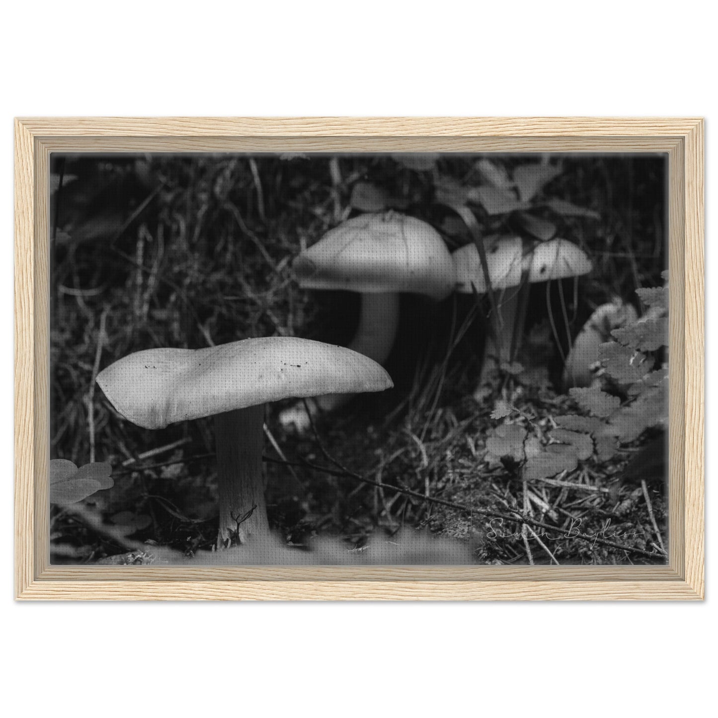 fc70ac5d-7926-43d8-aba5-45efb7ffe8a8