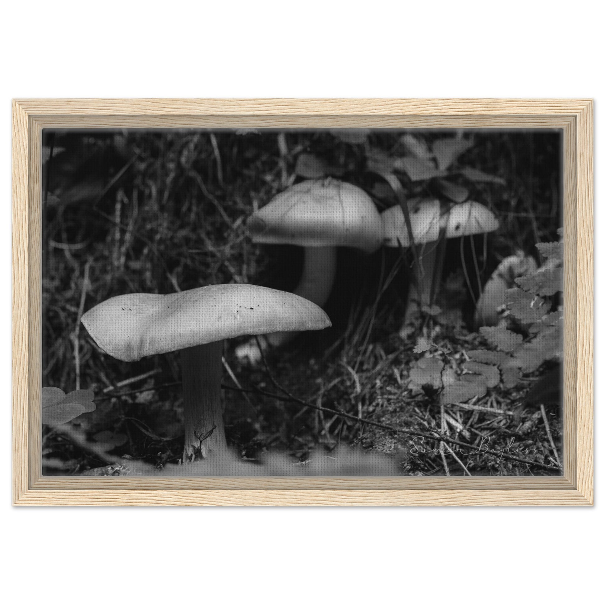 fc70ac5d-7926-43d8-aba5-45efb7ffe8a8