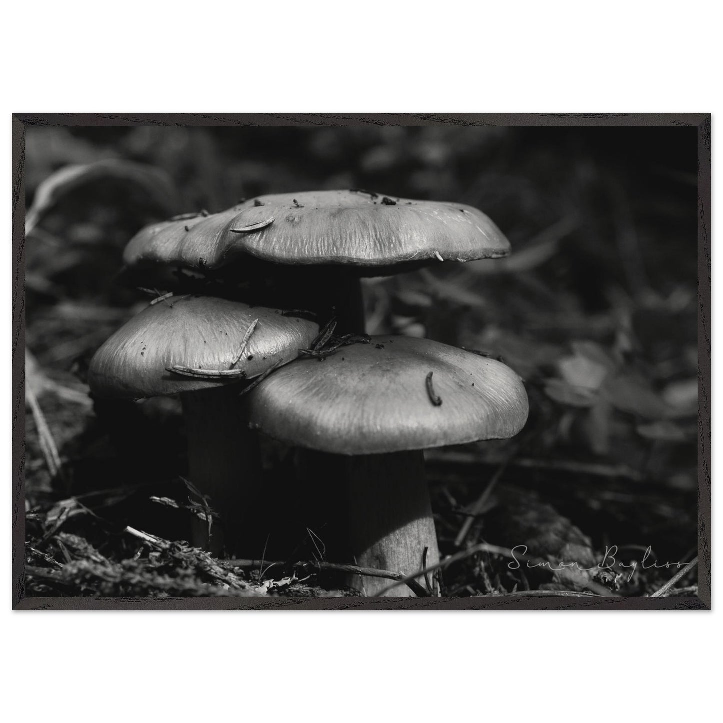 fdf6d795-0457-4fc5-905b-ee4ea7b26c25