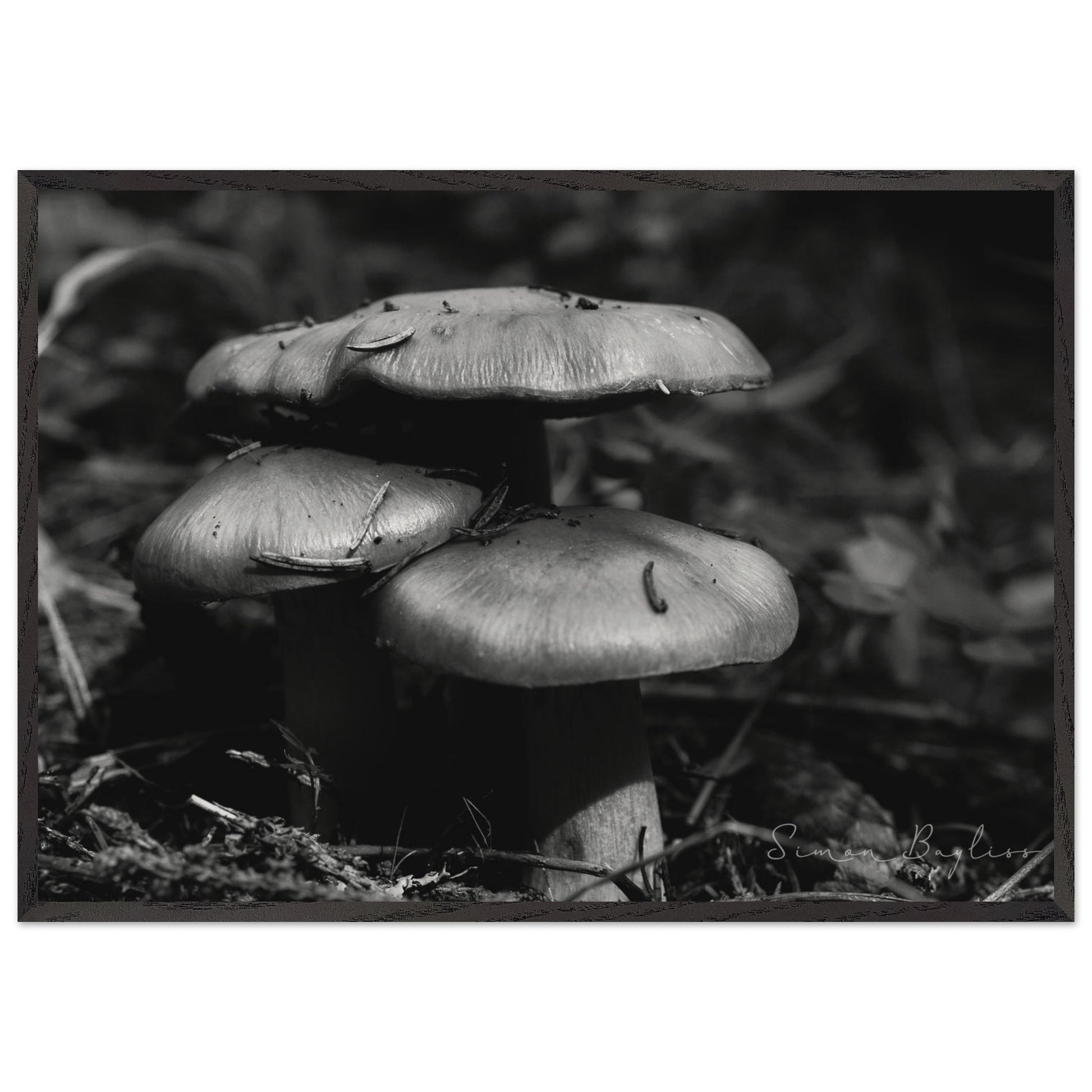 fdf6d795-0457-4fc5-905b-ee4ea7b26c25