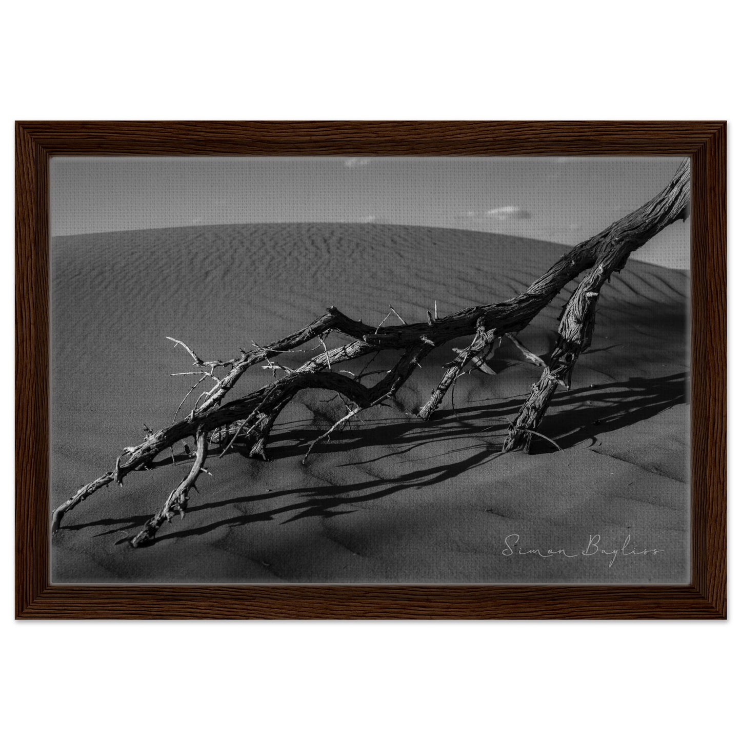 fe05030f-ecb7-472b-b319-3a9178bfdad1