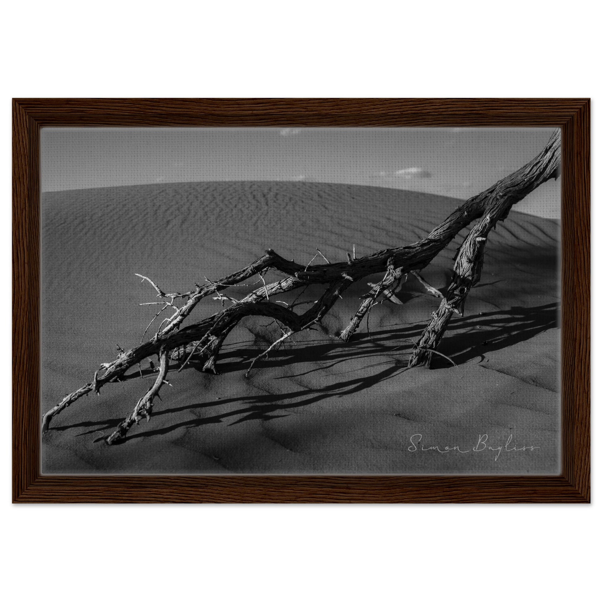 fe05030f-ecb7-472b-b319-3a9178bfdad1