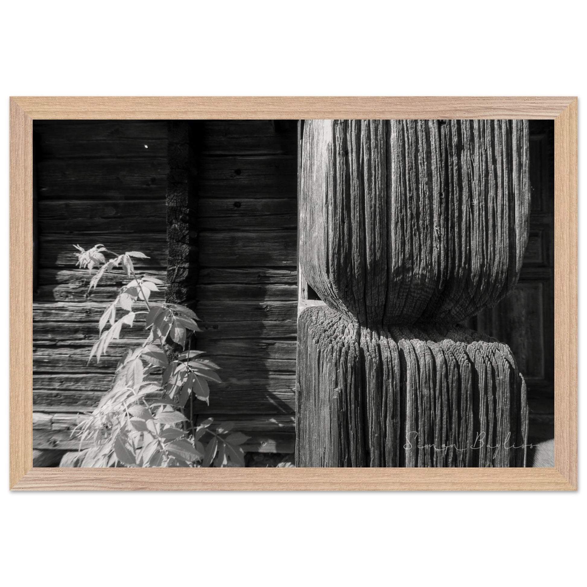 feb128c3-fab5-4da1-9973-596e975c92ce