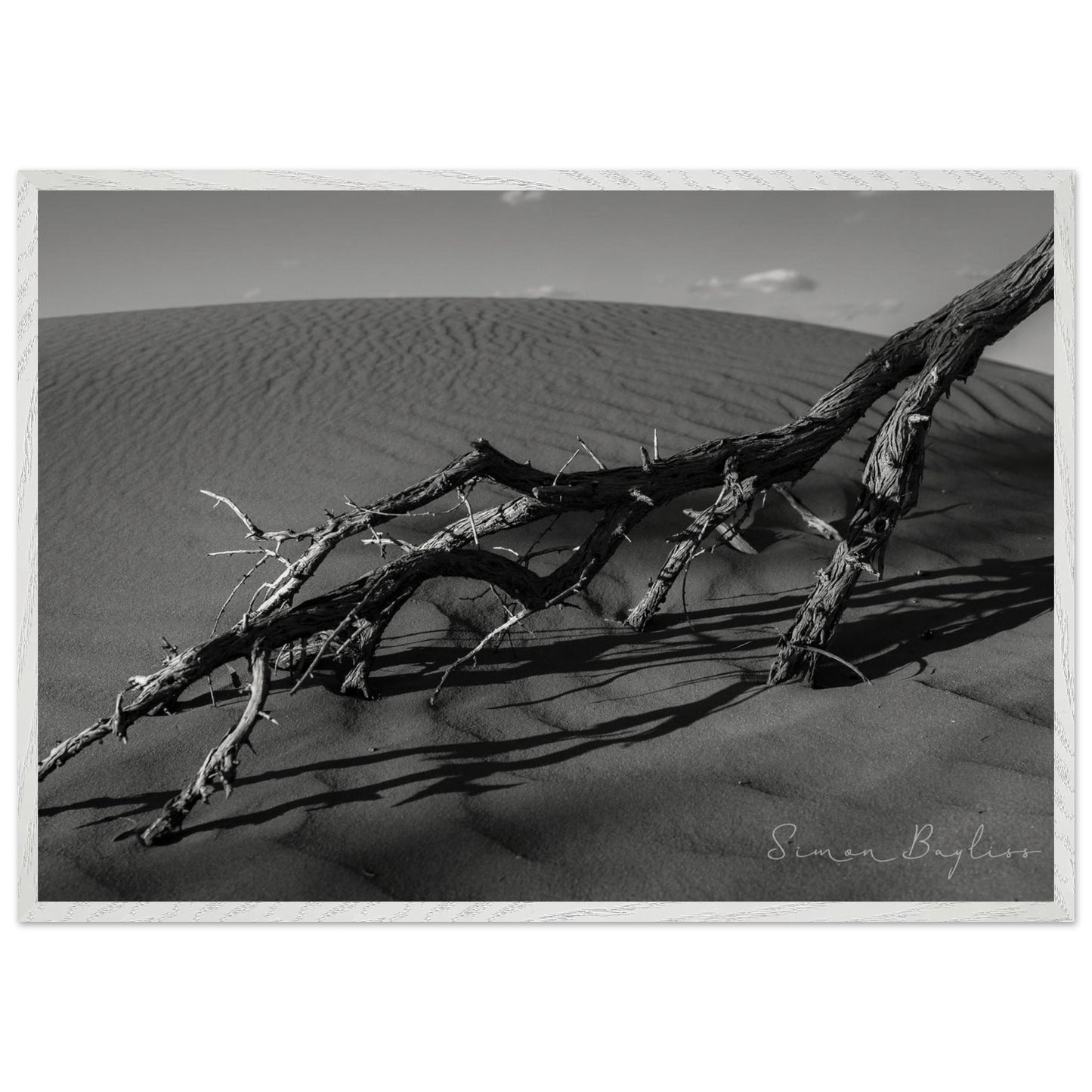 fed4fa7b-4c1b-402b-85b0-17d5378d0503