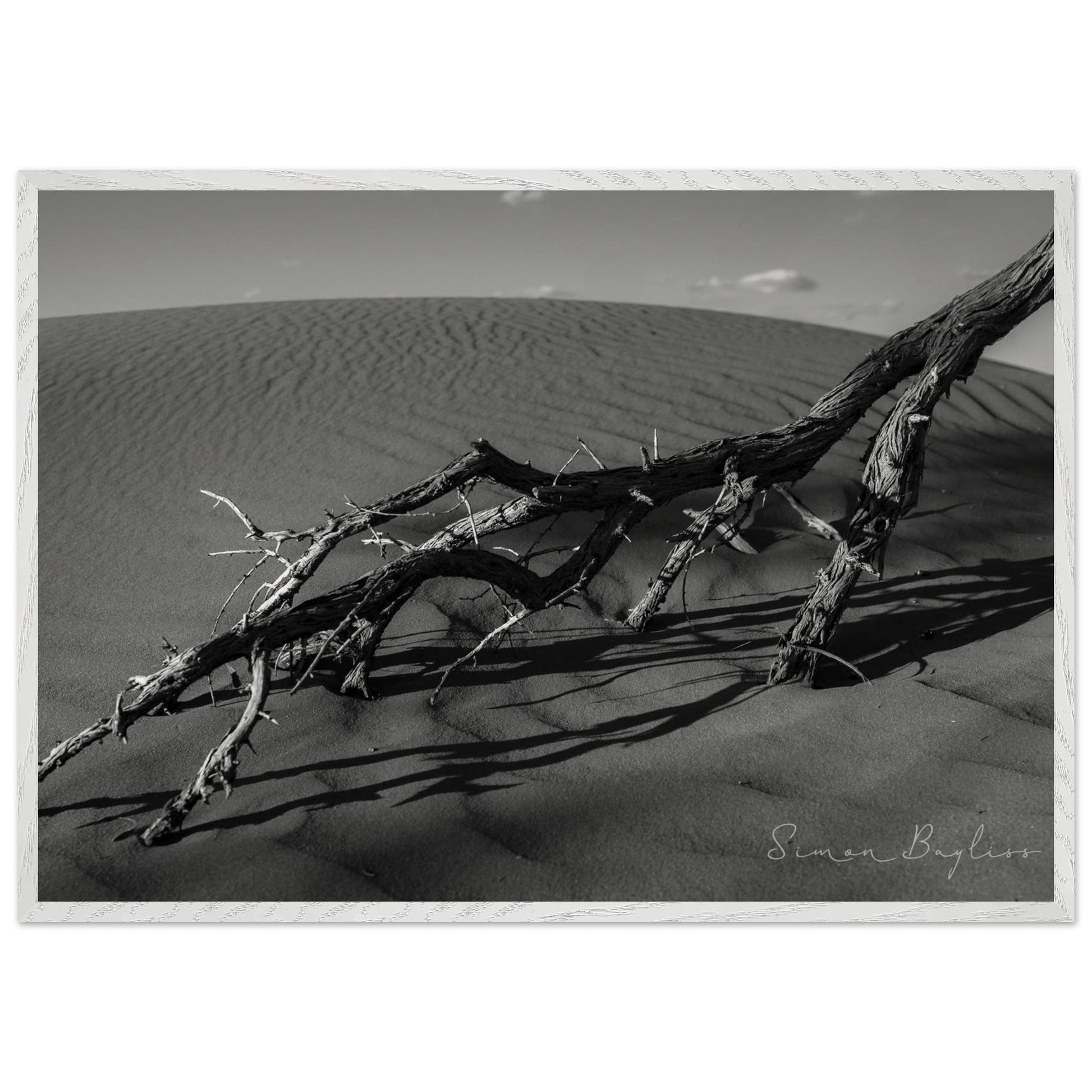 fed4fa7b-4c1b-402b-85b0-17d5378d0503