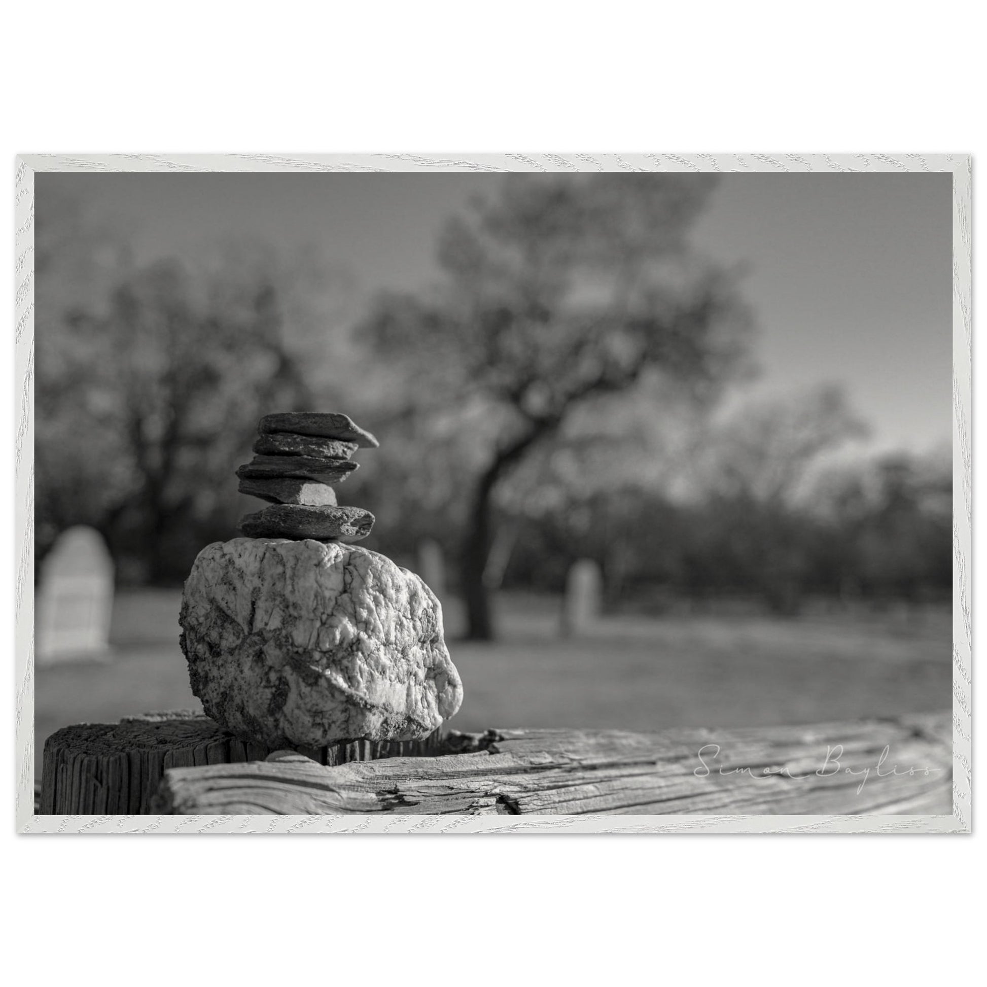 feed128d-bb83-460b-bc9e-f25d07c8da95