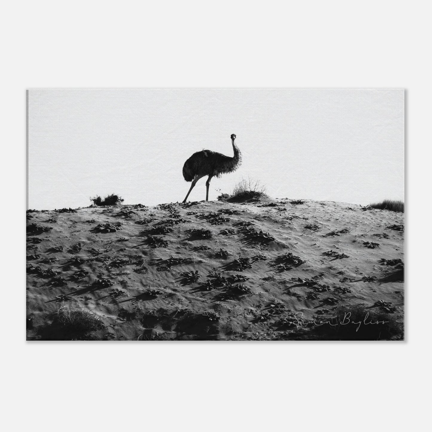 ff05a83e-b60c-4196-a2af-66190f792535