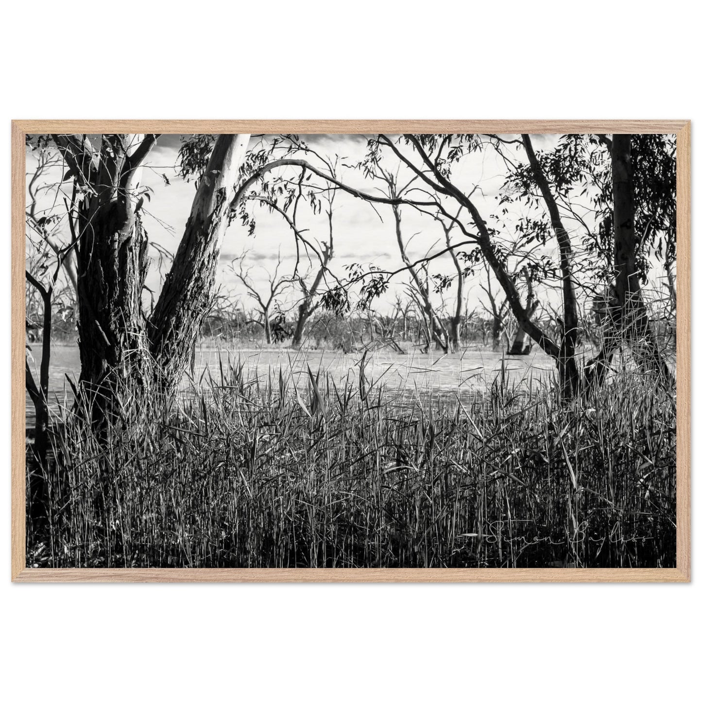 ff1ca7fd-5bc4-41a3-ac63-26966abb1289