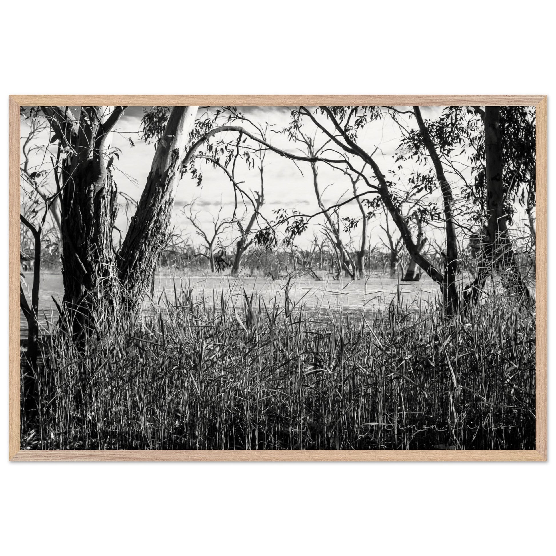 ff1ca7fd-5bc4-41a3-ac63-26966abb1289