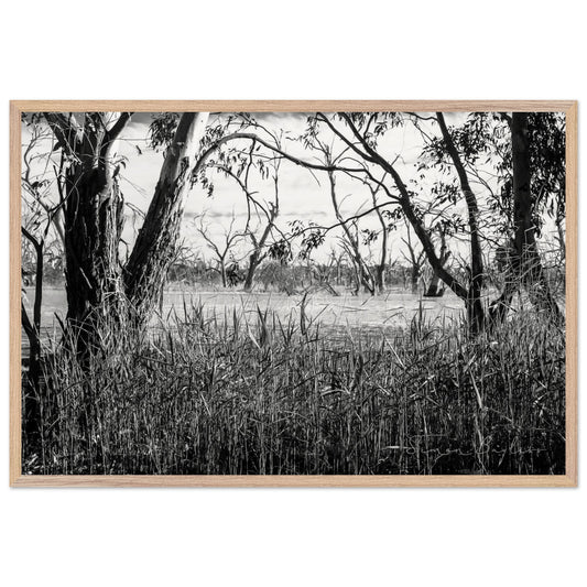 ff1ca7fd-5bc4-41a3-ac63-26966abb1289