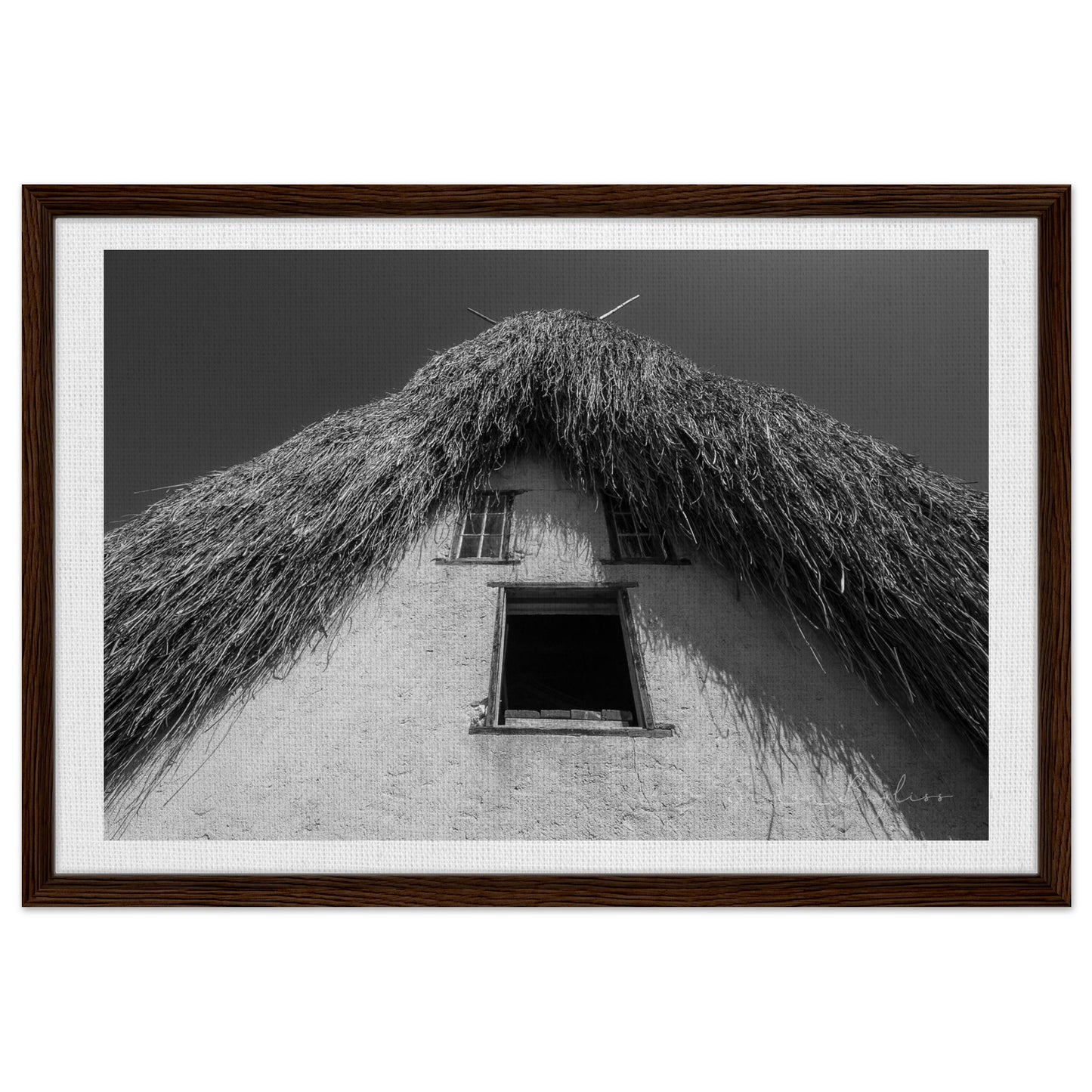 ff2883a2-5ead-4115-8846-0be95dac6e96