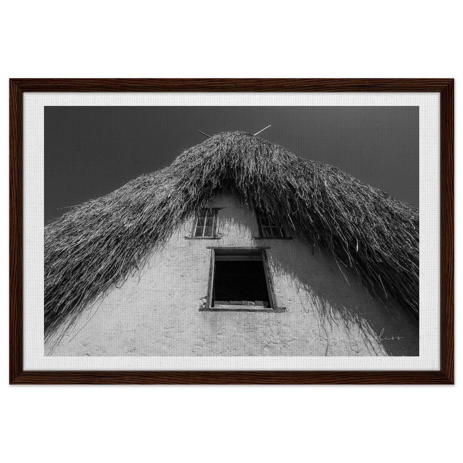 ff2883a2-5ead-4115-8846-0be95dac6e96