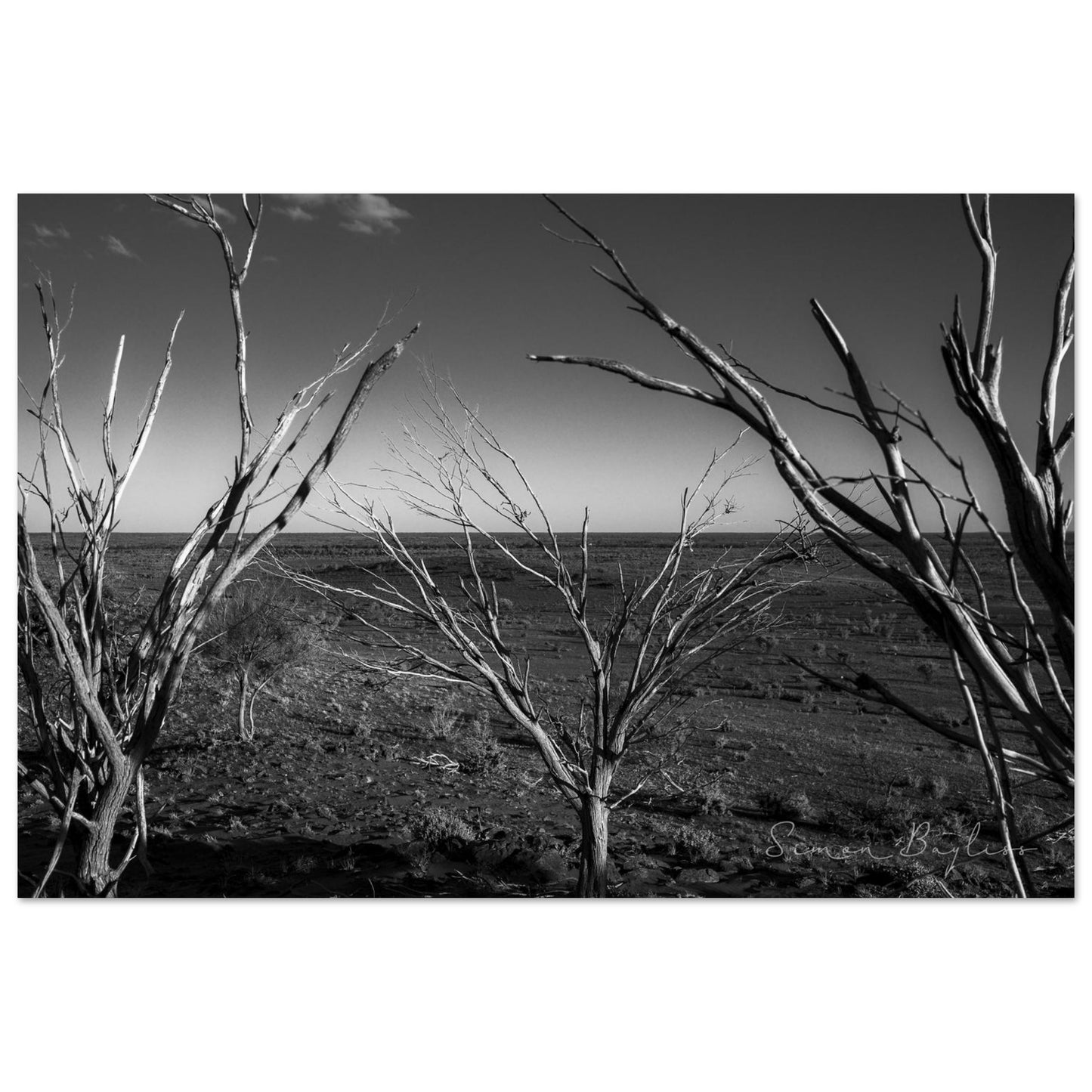 ffa4acb4-b9f2-4f20-b25f-b47b6b25a660