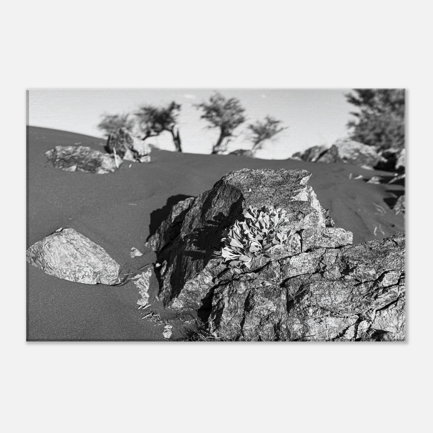 ffd460bb-e22b-473e-9c38-d0c3e00aa444