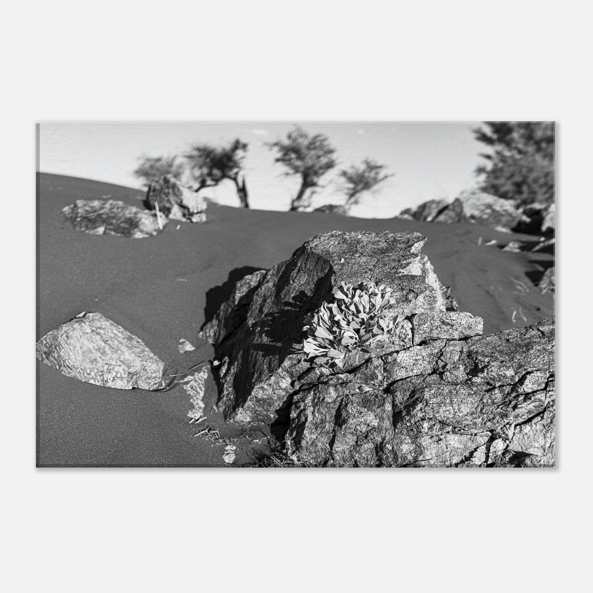 ffd460bb-e22b-473e-9c38-d0c3e00aa444